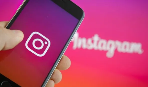 Instagram Story Viewer
